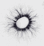 logo_voloshka